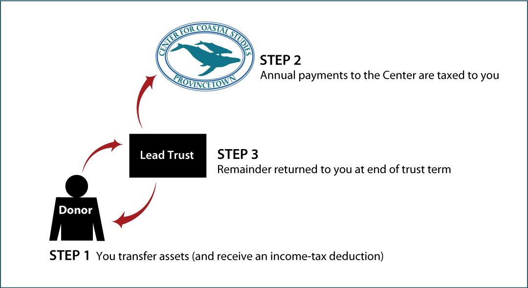 Grantor Lead Trust Thumbnail