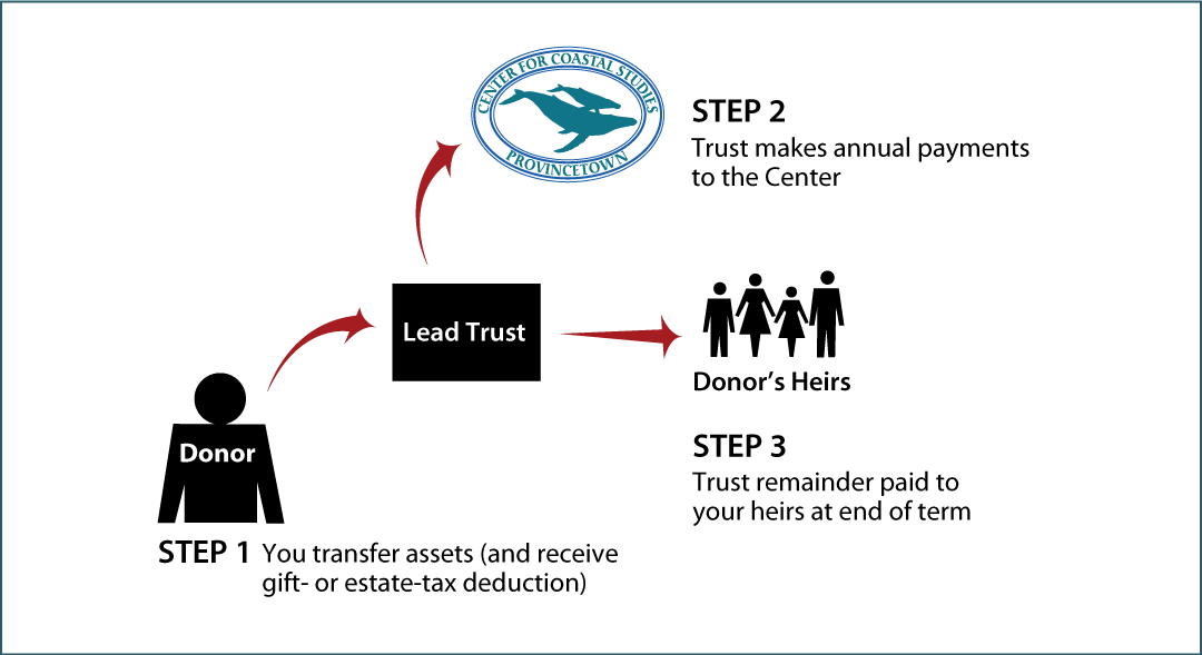 Nongrantor Lead Trust Thumbnail