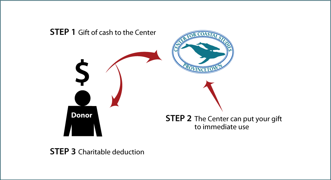 Cash, Checks, and Credit Cards Diagram. Description of image is listed below.