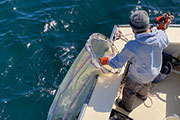 man on boat with net